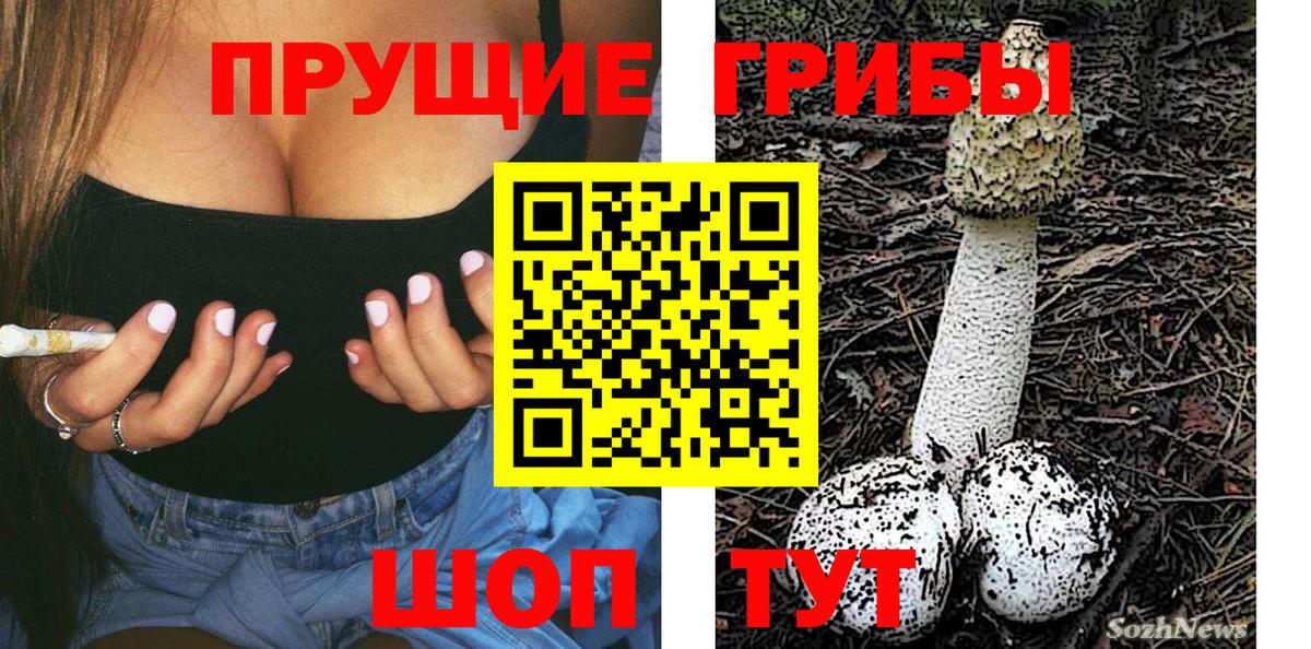 Псилоцибиновые грибы Cubensis  Вход с VPN  Псилоцибиновые грибы MAGIC MUSHROOMS  Сочи 